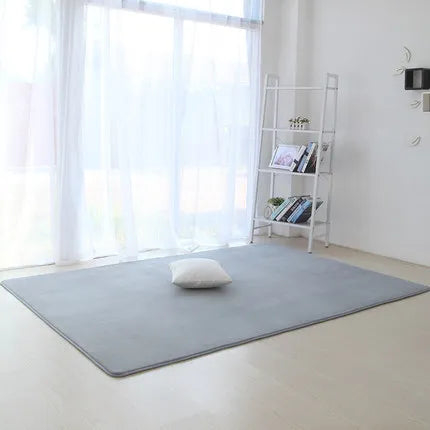 Thickened coral velvet plain carpet non-slip rug living room pad coffee table blanket bedroom cushion bedside yoga mat