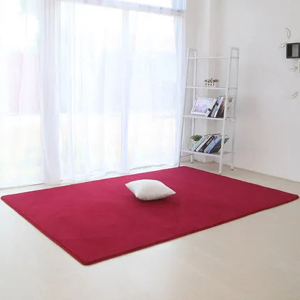 Thickened coral velvet plain carpet non-slip rug living room pad coffee table blanket bedroom cushion bedside yoga mat