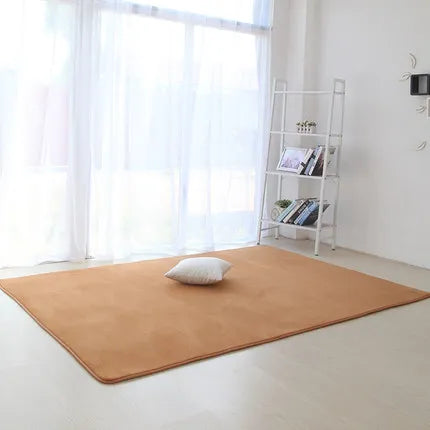 Thickened coral velvet plain carpet non-slip rug living room pad coffee table blanket bedroom cushion bedside yoga mat